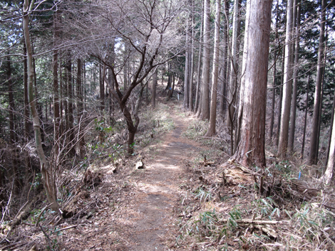 20161229hike (122)